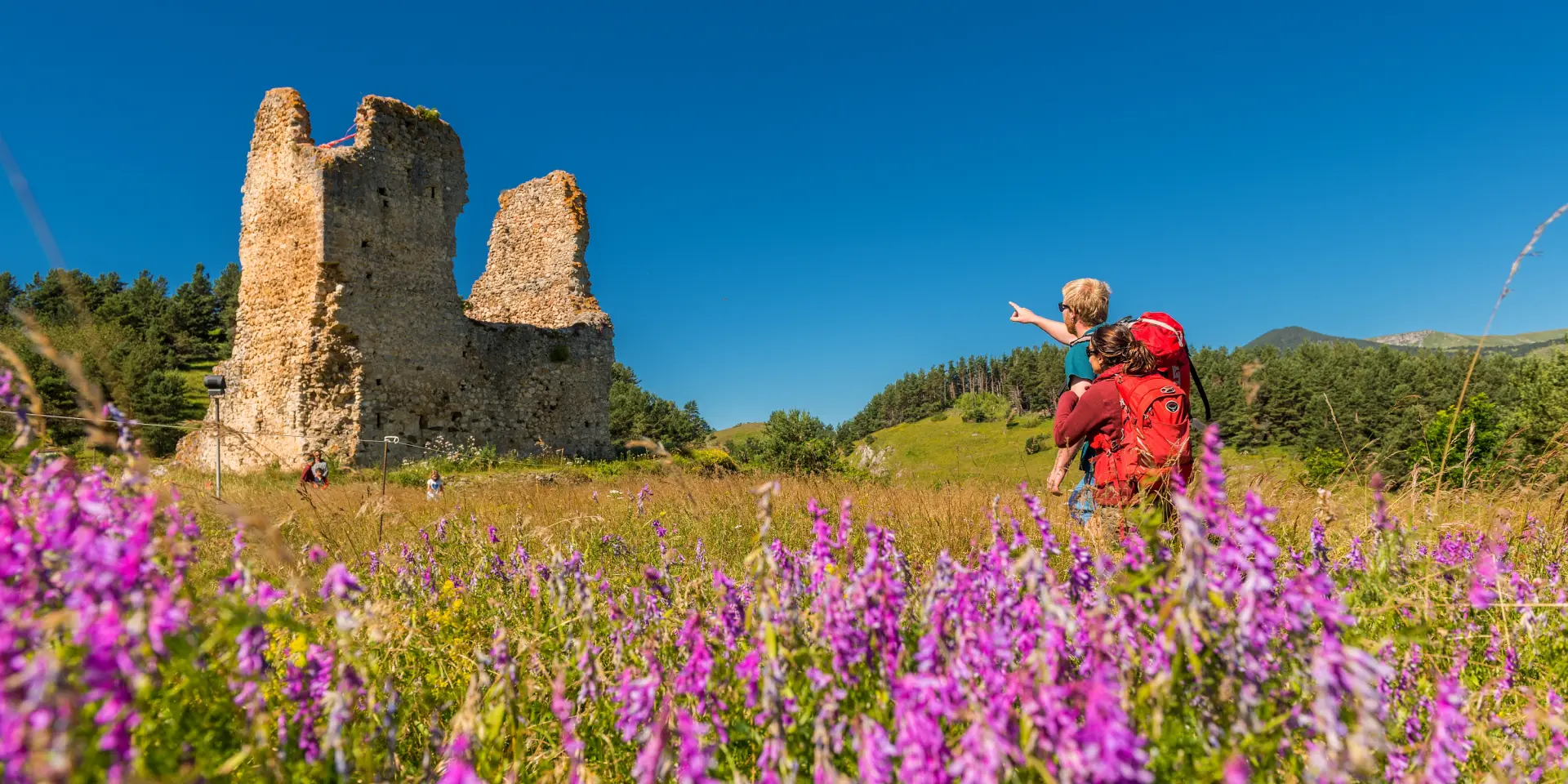 Personne marchant dans un champ de fleurs violettes vers une ruine ancienne