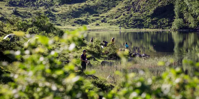 Personnes en pique-nique au bord d'un lac entouré de verdure