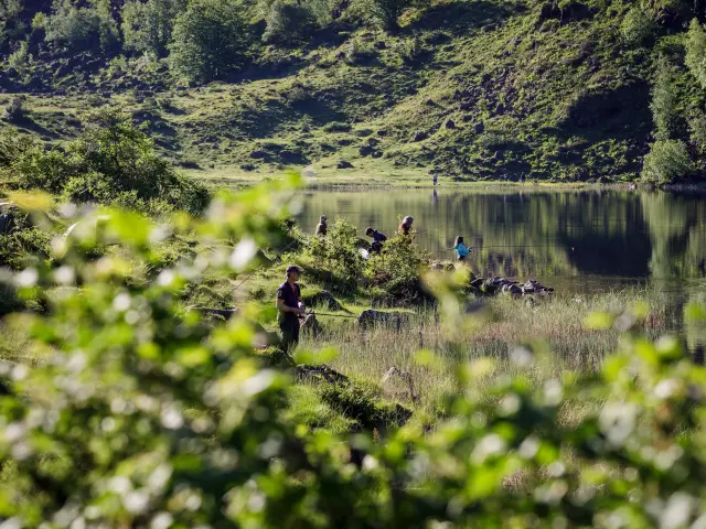 Personnes en pique-nique au bord d'un lac entouré de verdure