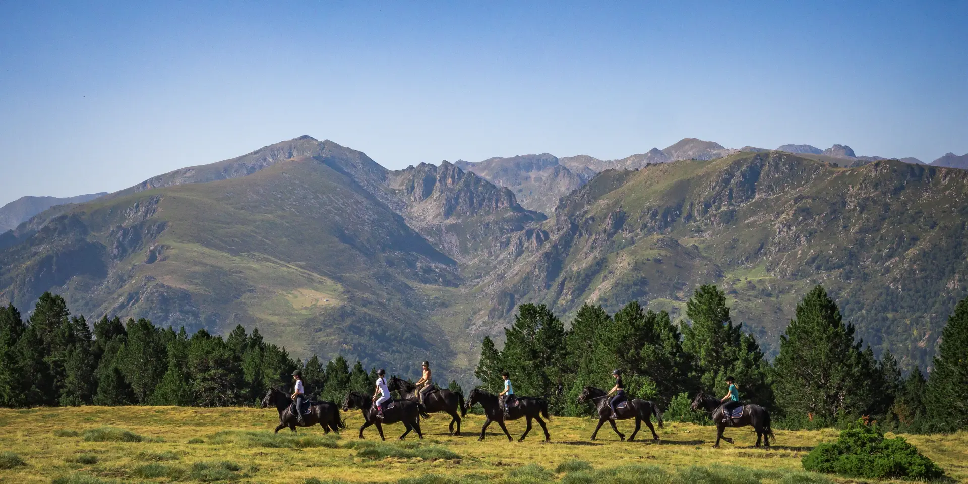Un groupe de cavaliers traverse un champ avec des montagnes en arrière-plan