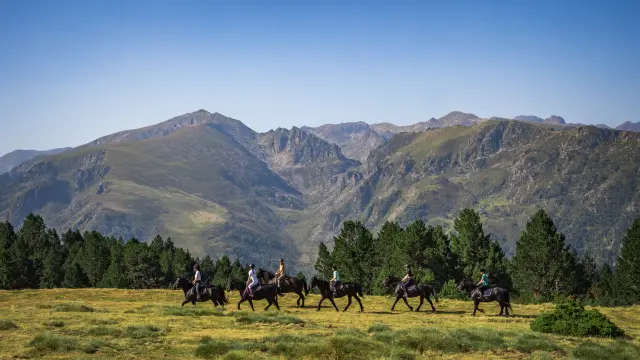 Un groupe de cavaliers traverse un champ avec des montagnes en arrière-plan