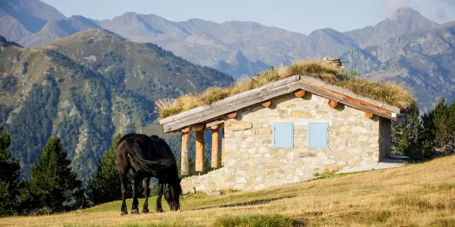 Cabane en pierre avec toit végétal et cheval noir dans un champ