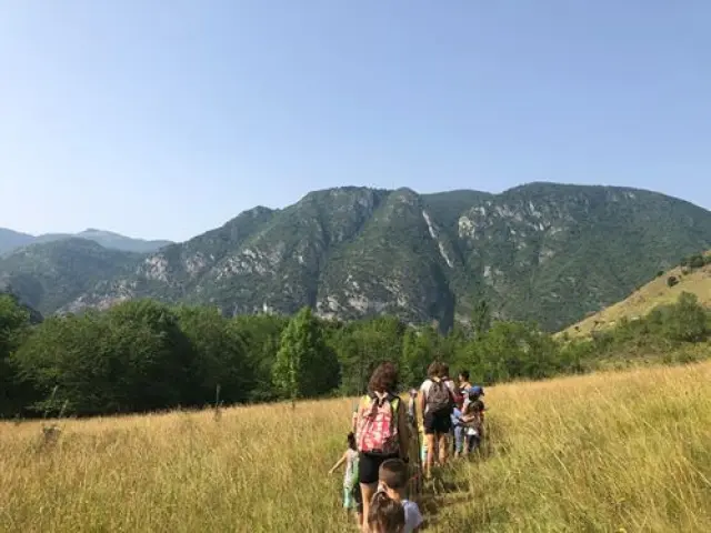 Group of people walking in a field towards mountains