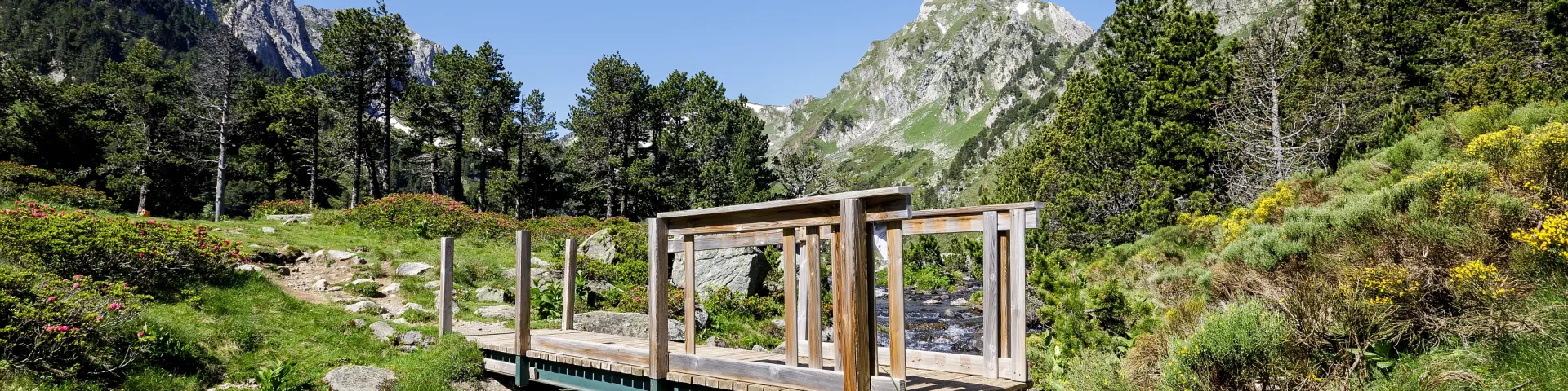 Wooden bridge over a mountain stream with mountains in the background