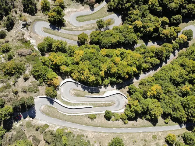 Route sinueuse traversant une forêt dense