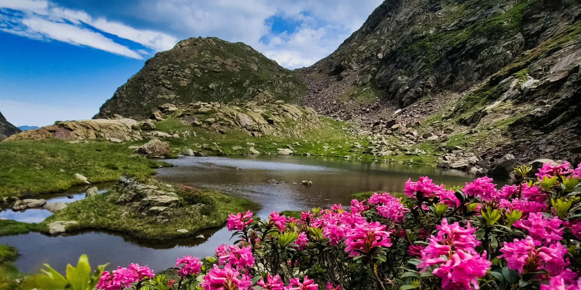 Instagram #pyreneesariegeoises