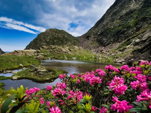 Instagram #pyreneesariegeoises