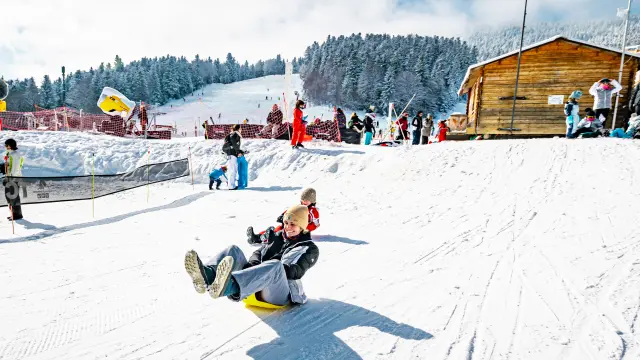 Children sliding down a snowy slope on sleds