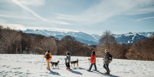 Four people and two dogs walking on a snowy mountain trail