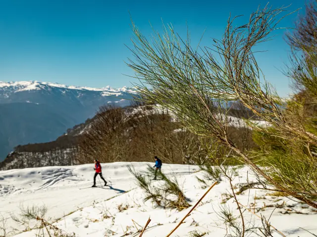 Two people cross-country skiing in a snowy landscape with mountains in the background
