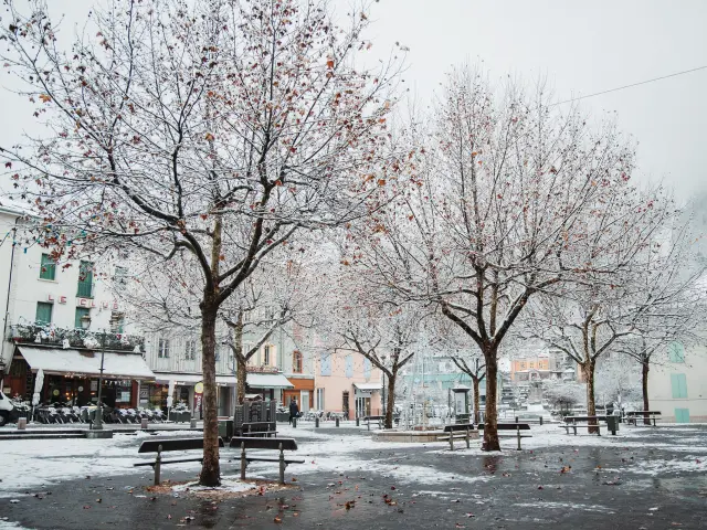 Snowy public square with trees and benches