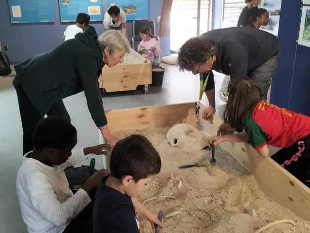 Children and adults digging in a sand pit to discover fossils
