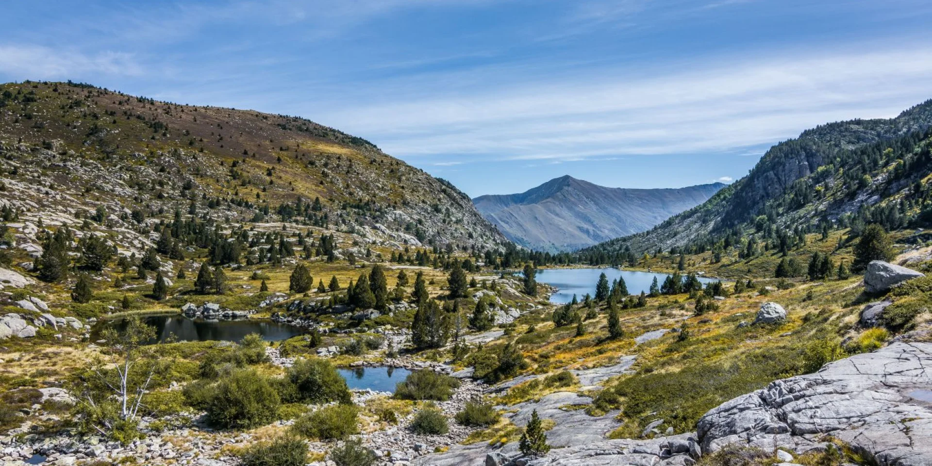 Instagram #pyreneesariegeoises