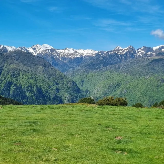 Instagram #pyreneesariegeoises
