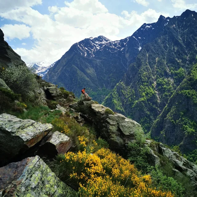 Instagram #pyreneesariegeoises