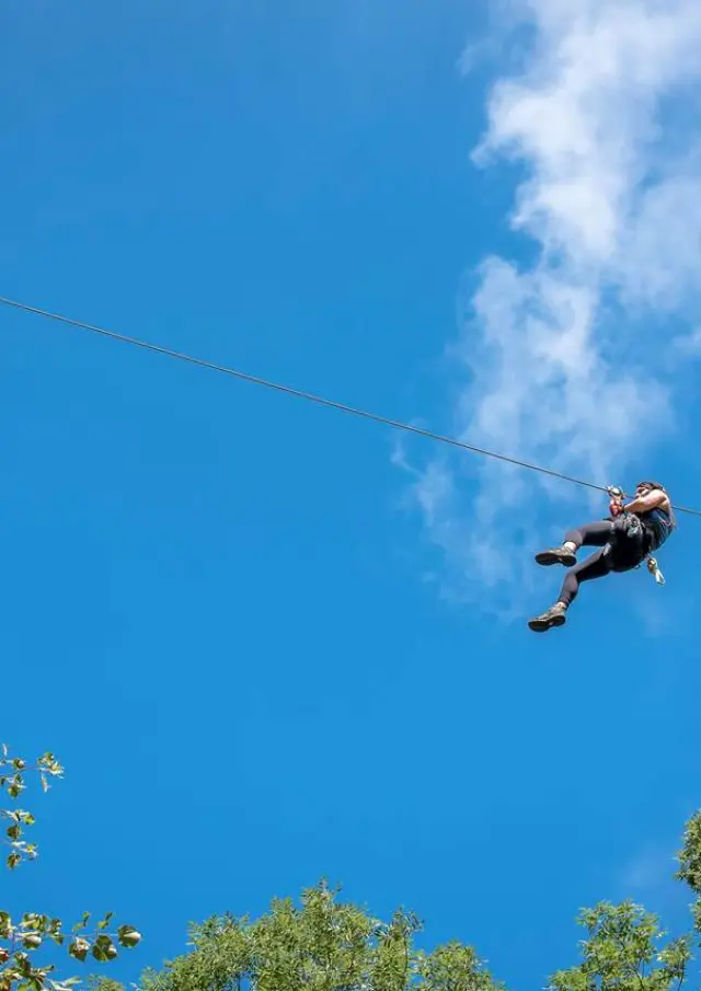 Personne faisant de la tyrolienne entre les arbres