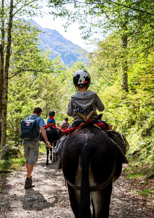 Enfant faisant du cheval dans une forêt avec des montagnes en arrière-plan