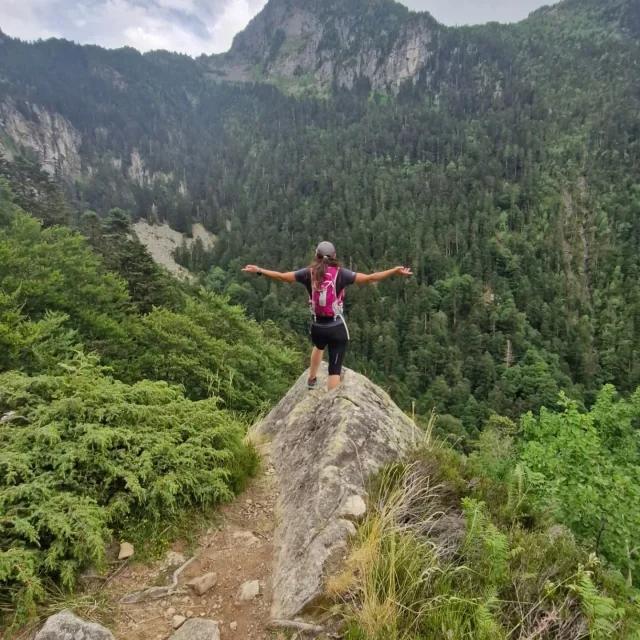 Instagram #pyreneesariegeoises