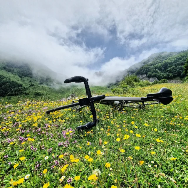 Instagram #pyreneesariegeoises