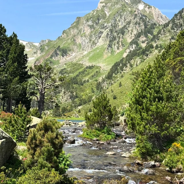 Instagram #pyreneesariegeoises