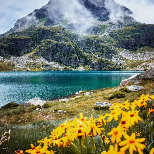 Instagram #pyreneesariegeoises