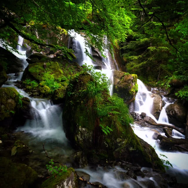 Instagram #pyreneesariegeoises
