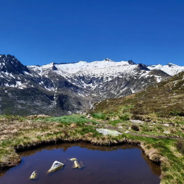 Instagram #pyreneesariegeoises