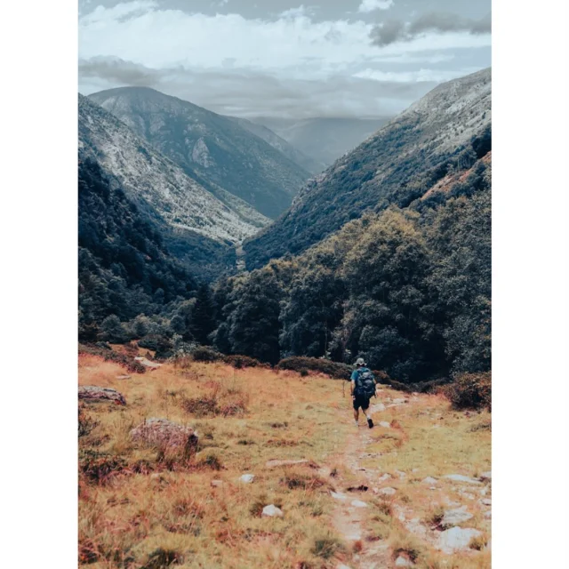 Instagram #pyreneesariegeoises