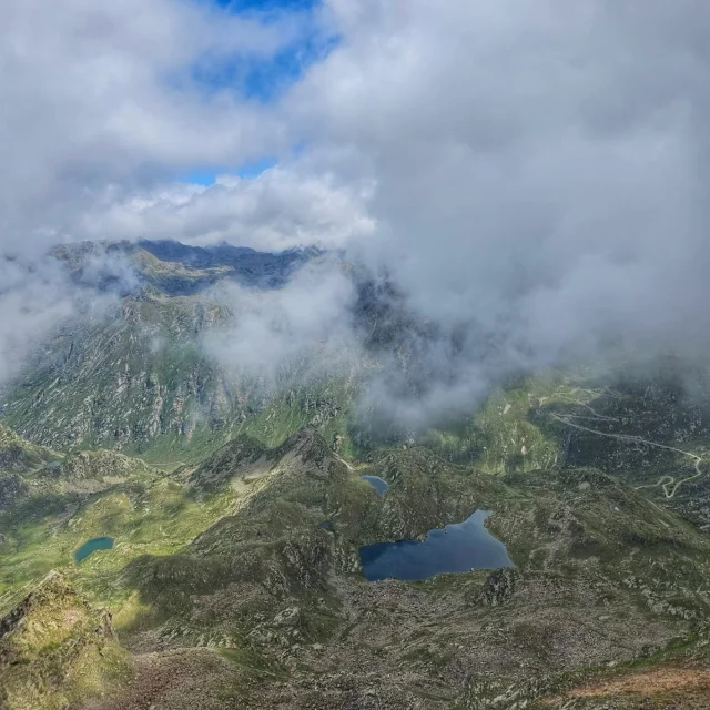 Instagram #pyreneesariegeoises