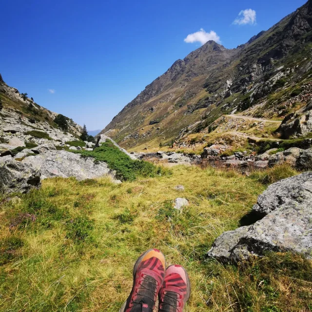 Instagram #pyreneesariegeoises