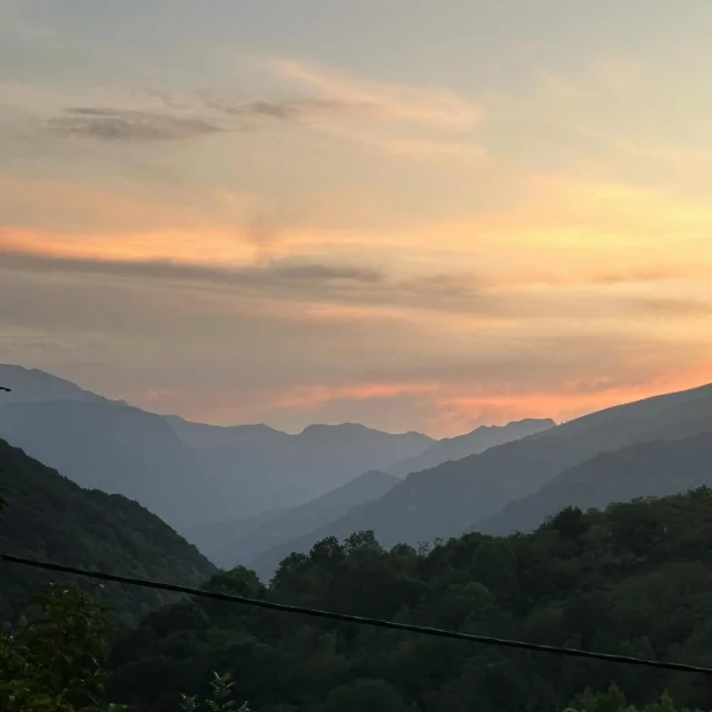Instagram #pyreneesariegeoises