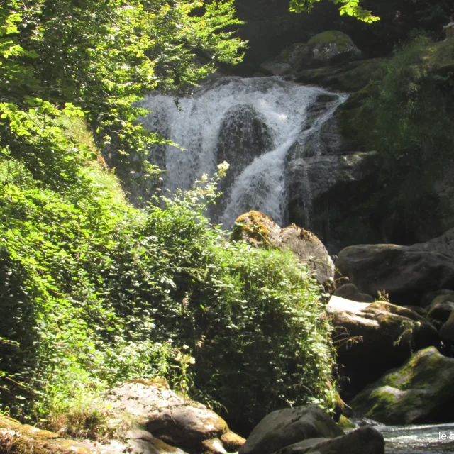 Instagram #pyreneesariegeoises