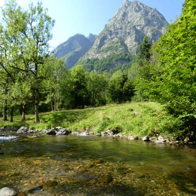 Instagram #pyreneesariegeoises