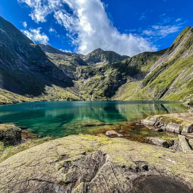 Instagram #pyreneesariegeoises
