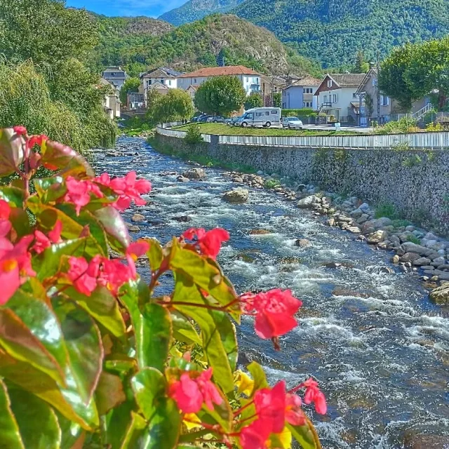 Instagram #pyreneesariegeoises