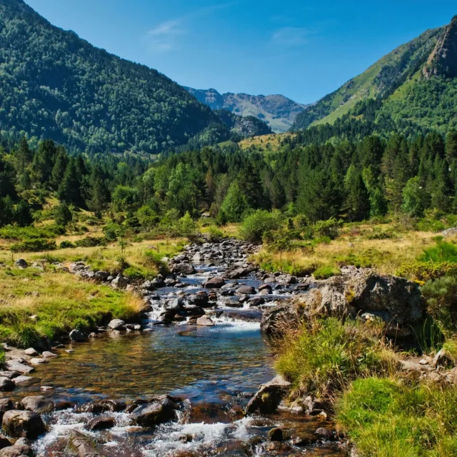 Instagram #pyreneesariegeoises