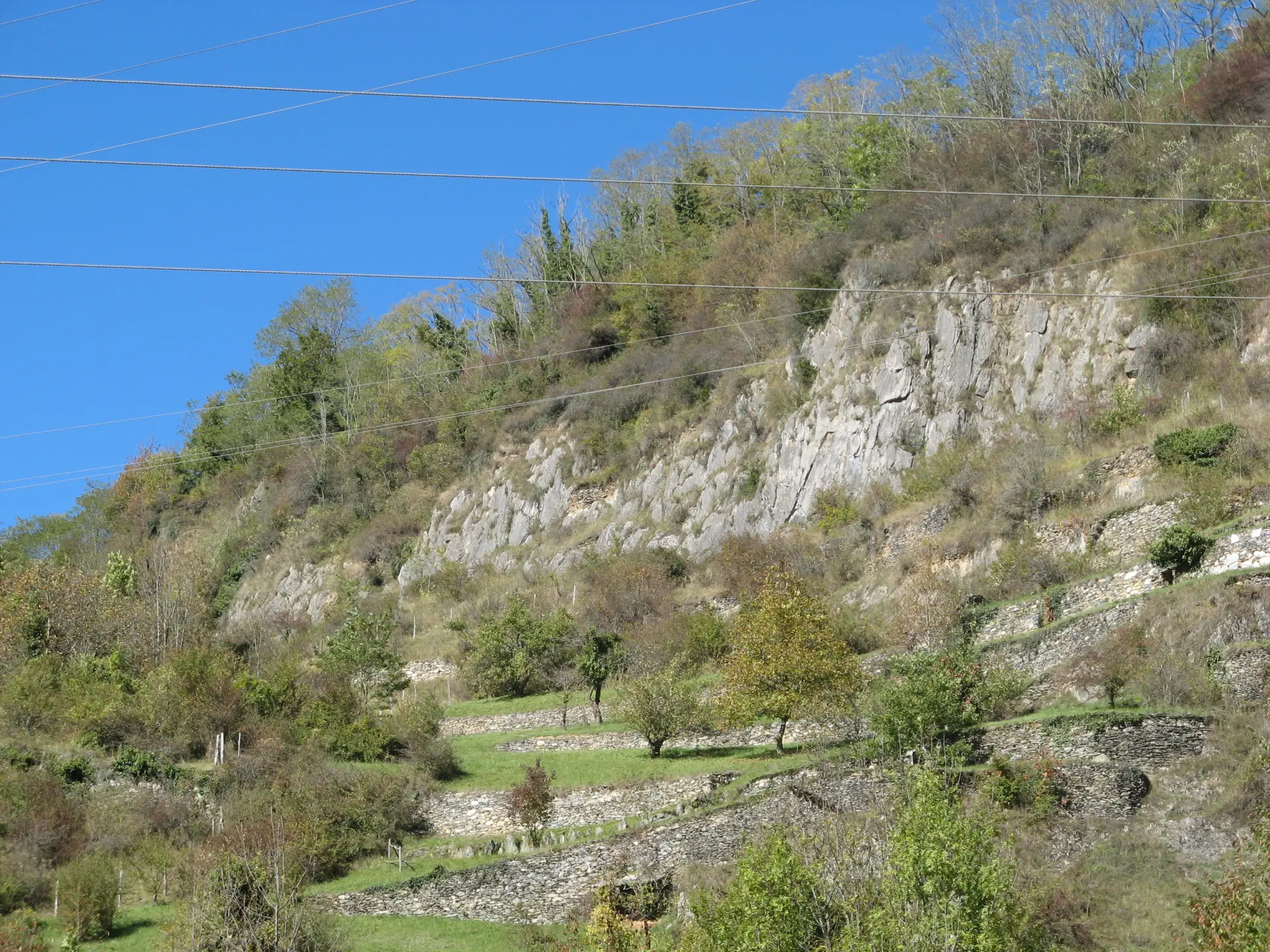 Une pente rocheuse avec des arbres et des buissons