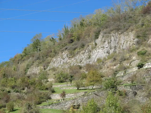 Une pente rocheuse avec des arbres et des buissons
