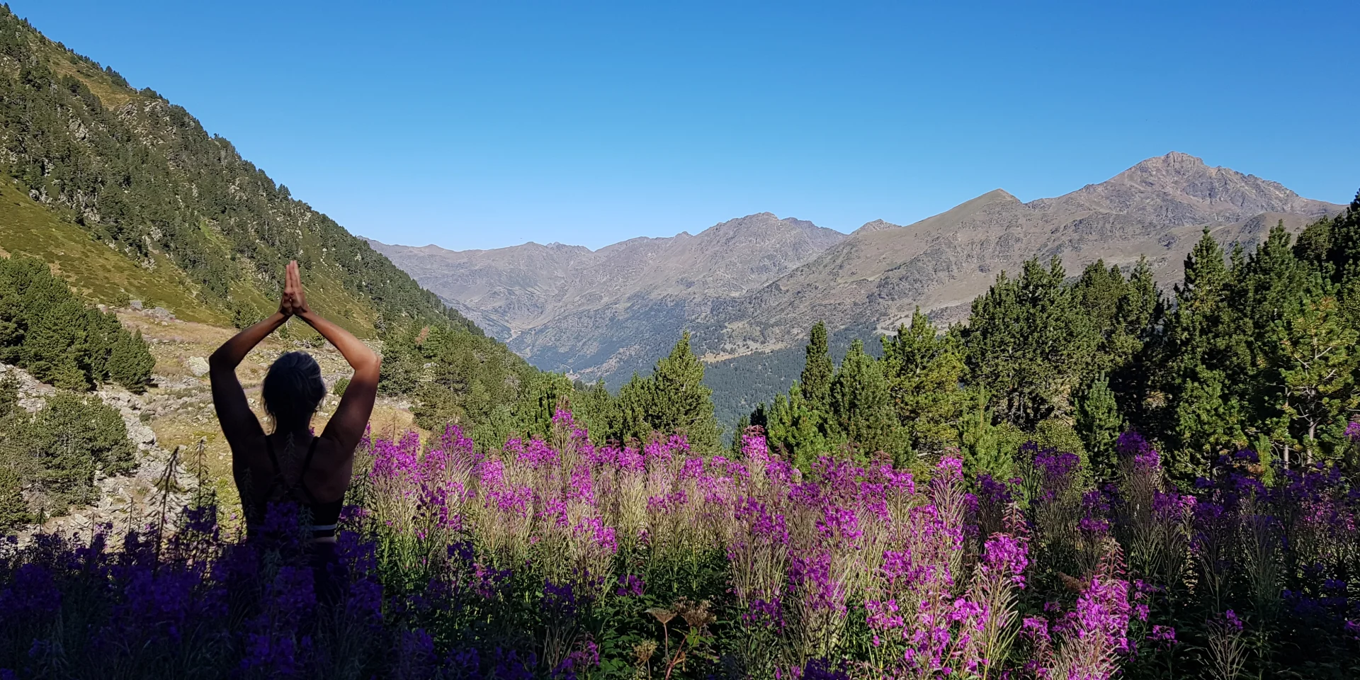 Planet Rando Yoga Sortie Rando Yoga Dans Les Epilobes Cp Chrystel Conesa