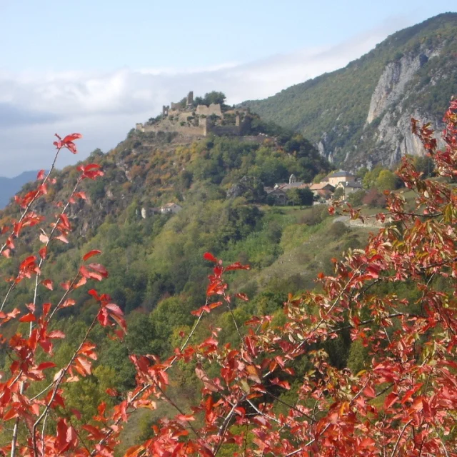 Instagram #pyreneesariegeoises