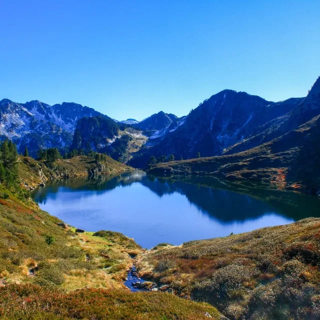 Instagram #pyreneesariegeoises