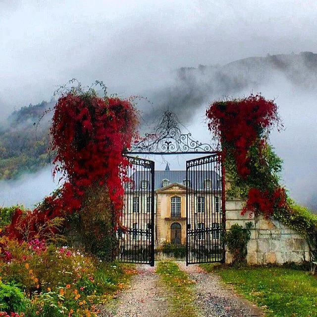 Instagram #pyreneesariegeoises