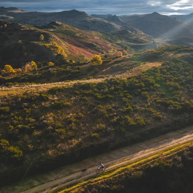 Instagram #pyreneesariegeoises