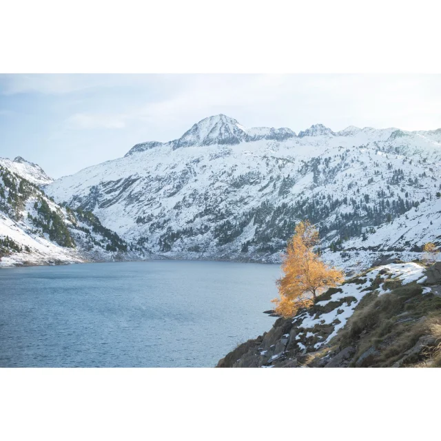 Instagram #pyreneesariegeoises