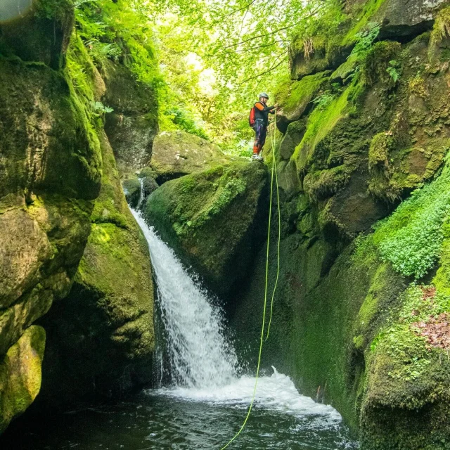 Instagram #pyreneesariegeoises