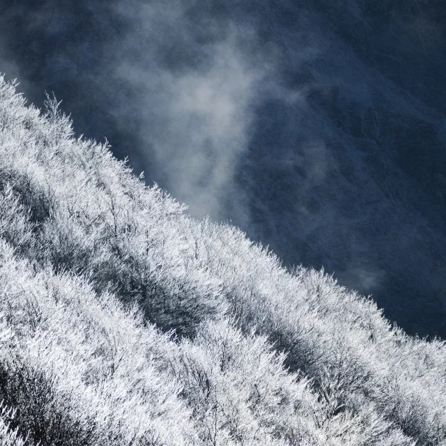 Instagram #pyreneesariegeoises