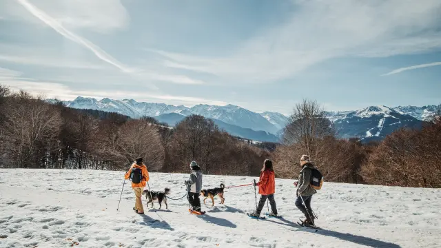 Quatre personnes skient avec trois chiens dans un paysage enneigé
