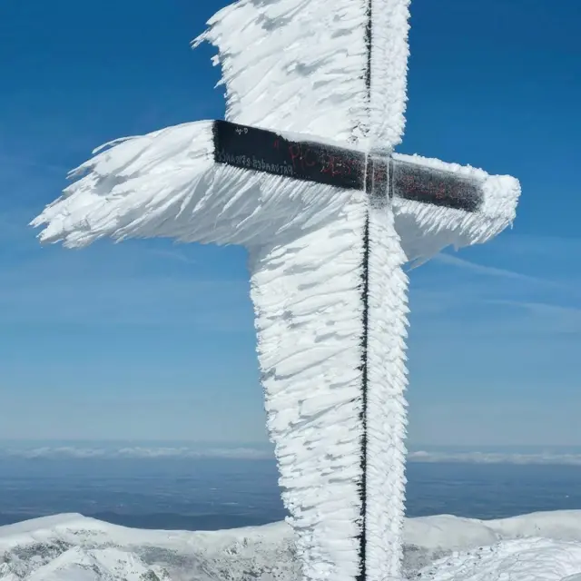 Instagram #pyreneesariegeoises