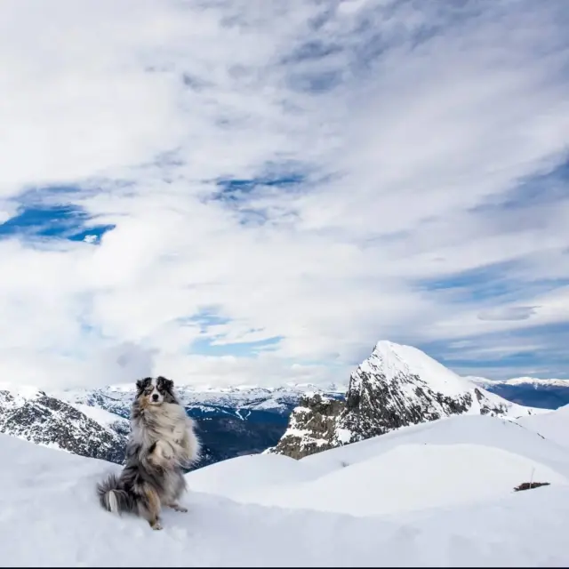 Instagram #dentdorlu