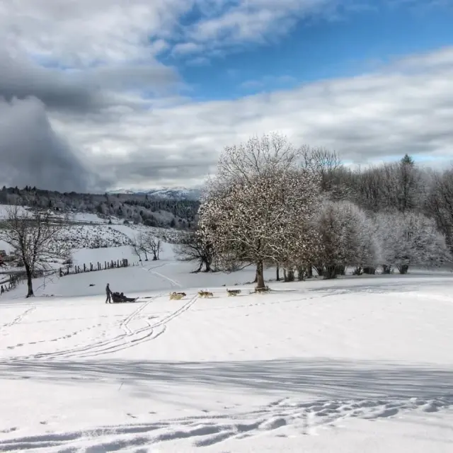 Instagram #pyreneesariegeoises